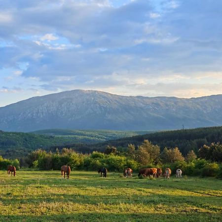 Ranc Crna Stina Villa Livno Exterior photo